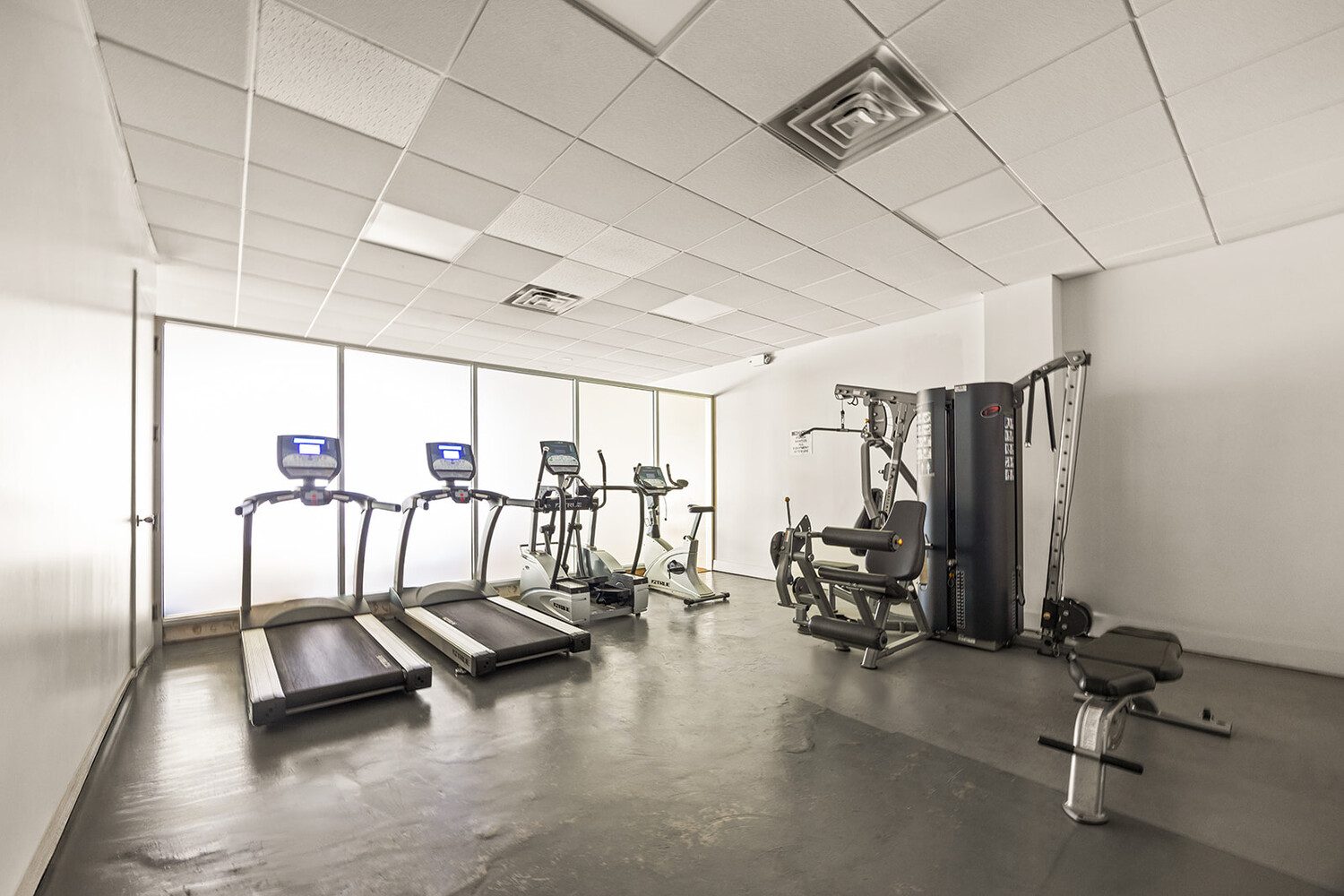 111 Steuben Street Clinton Hill Brooklyn NY 11205