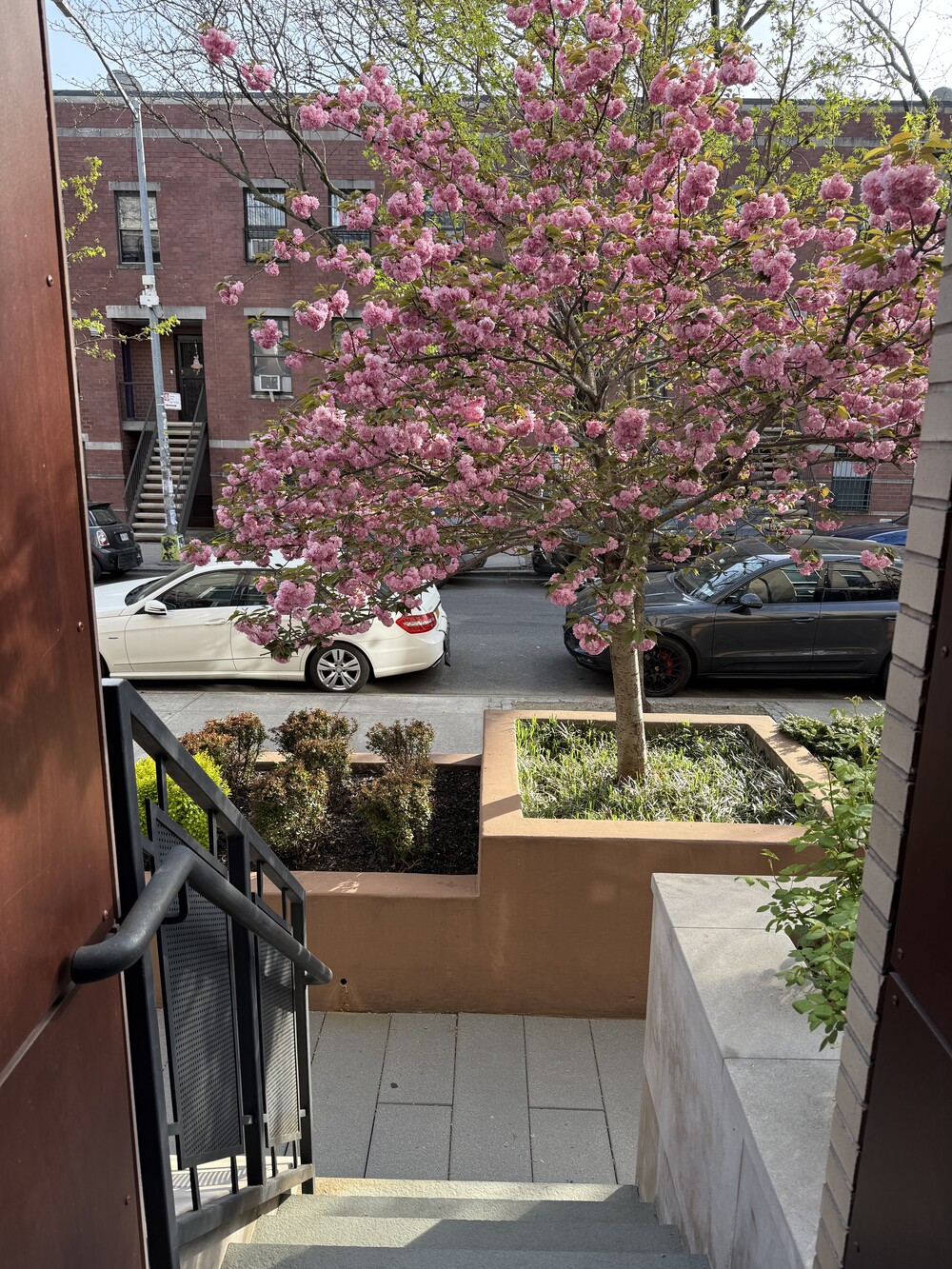 129 North 3rd Street TH10 Williamsburg Brooklyn NY 11211