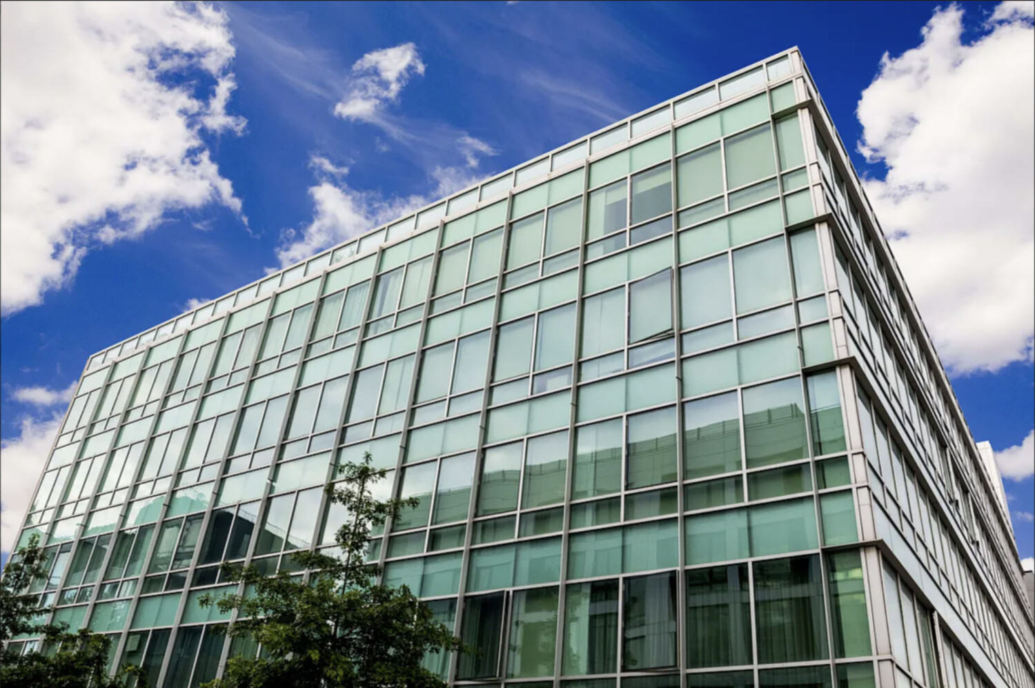 111 Steuben Street Clinton Hill Brooklyn NY 11205