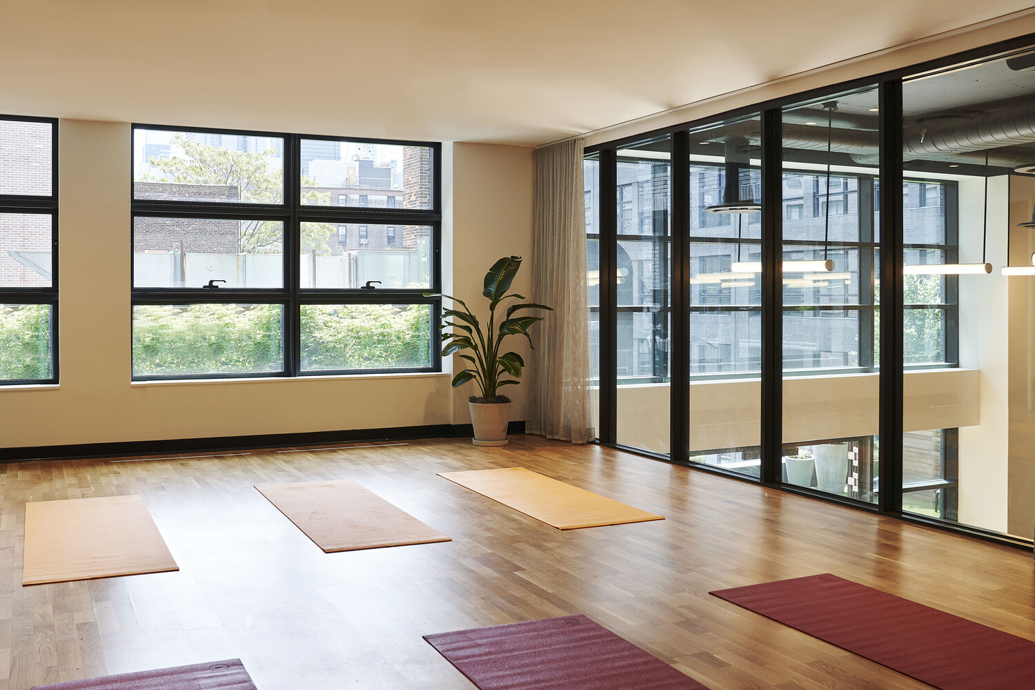 547 West 47th Street Clinton New York NY 10036