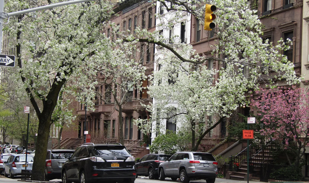 19 East 93rd Street Carnegie Hill New York NY 10128
